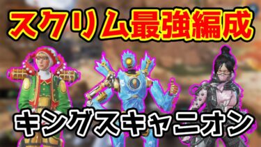 【最強編成】プロだけの試合は必須編成【スクリム】
