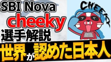 【 APEX 】世界が認めた日本人プロ SBI Nova cheeky選手をちょこっと解説　ちょこっとプロ解説⑦【 apex プロ 解説 】【 apex 海外プロ 】【 わんず 】
