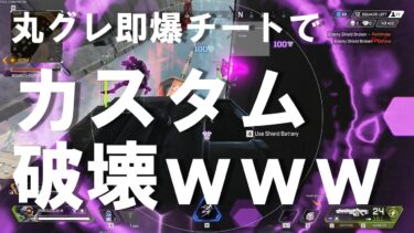 【COLA-APEX】現状最強グレ即爆チートで参加型カスタム破壊してみたｗｗｗｗｗ