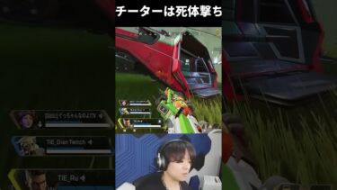 チーターに死体撃ちしたTIE Ruはやっぱり悪くない | Apex Legends
