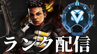 Apex　チーターまみれのダイヤ帯行く男