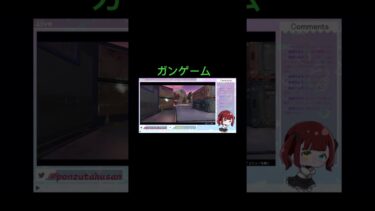 ガンゲームでの奇跡✨ #ANNIN #twitch配信者 #APEX#ゲーム配信者 #ガンゲーム