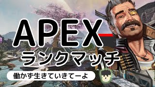 【APEX ランク】ソロランク配信