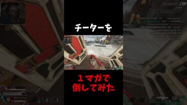 チーターを１マガで倒してみた #apex #cheat