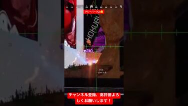 これが元SR専です #万キルレイス #apex #apexlegends #配信 #切り抜き