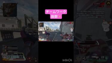 チームワーク抜群✨️ #shorts #apex #apexlegends #エーペックス #国産なっとう #ゲーム実況 #ソロランク #アッシュ