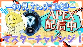 [APEX雑談配信]マスター目指して頑張ります(現在プラチナ1)