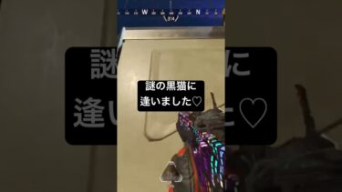 新レジェンドの…？？#APEX参加型ライブ配信本編もぜひ見てくださいね♡#エーペックスレジェンズ#apexlegends