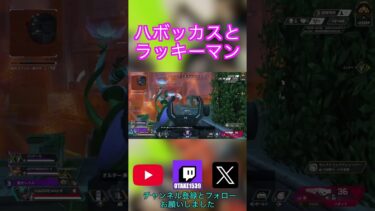 PSのなさをハボックで埋めようとした結果 …　#apex #apexlegendsclips #algs #切り抜き #配信 #配信切り抜き #shorts