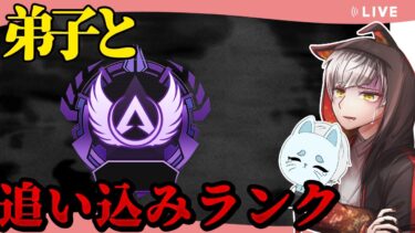 【師弟ランク】今日でマスター？　追い込みランク！【 エーペックスレジェンズ/APEX/シーズン24】