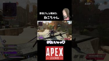 【APEX LEGENDS／APEX女子】キンキャニのランオフで野良さんとねこちゃんを眺めた！　#shorts