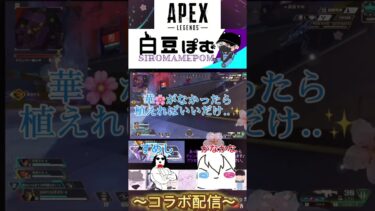 #apex  すめかなコラボ配信にて #shorts