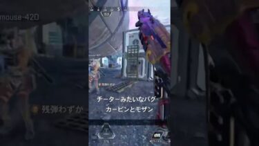 APEX チーターみたいなバグ