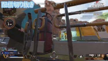 撃っていく。　APEX　配信切り抜き