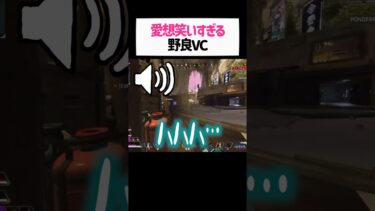 野良VCで出会った海外ニキに愛想笑いさせてしまう女性配信者wwwww【apex.エーペックスレジェンズ】#shorts