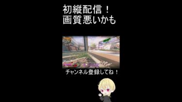 初縦配信！【APEX配信】
