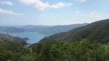 暇つぶしAPEX配信