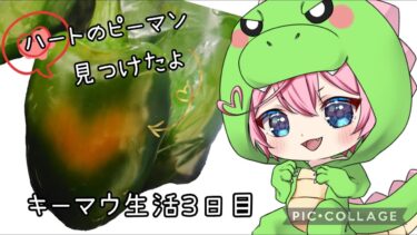 【APEX】参加型　初心者キーマウ生活３日目　【概要欄必読】＃apex　＃参加型　 #女性配信＃女性実況　　＃キーマウ