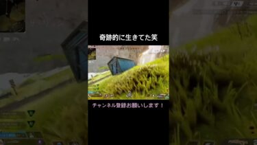 焦り過ぎて変な声でちゃった笑 #apexlegends #apex #apex女子 #エイペックス #エーペックス #配信 #ゲーム実況