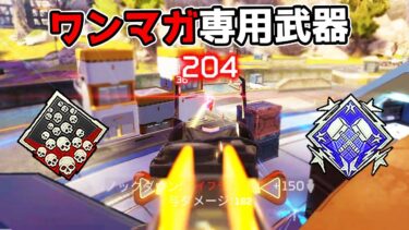 全く話題になっていない『ワンマガ量産武器』が強すぎる件【APEX LEGENDS】