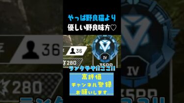 やっぱ野良猫より優しい野良味方 #shorts #切り抜き #apex