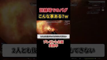 【Apex】超ド底辺配信者の日常wwwwww