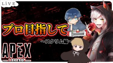 今日はアッシュでスクリム【 エーペックスレジェンズ/APEX/シーズン24】
