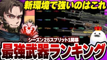 【シーズン25SP1】味方に左右されない武器ランキングを現役プレデターが解説【Apex Legends/PC版ソロプレデター】