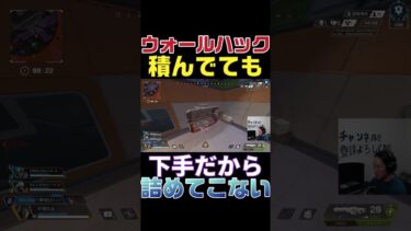 皆勘違いしてない？チーターは下手だからチート使ってるんだよ？　#shorts #杉健太 #apexlegends