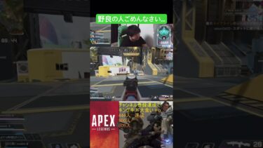 野良の人しゃーせいした #ゲーム #ゲーム実況 #ゲーム配信 #apex #エーペックス #初見さん大歓迎 #shorts
