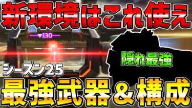 【APEX】シーズン25最強武器＆武器構成【エーペックス】