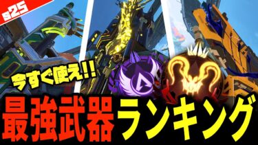 ソロマス常連が考えるシーズン25最強武器ランキング徹底解説!!【APEX LEGENDS】