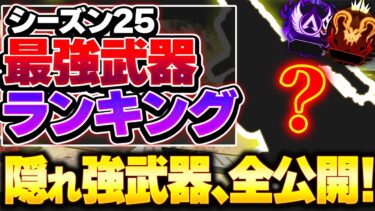 【Tier表】これの強さ、”見逃してる人”多くない？ シーズン25最強武器ランキング【APEX エーペックスレジェンズ】