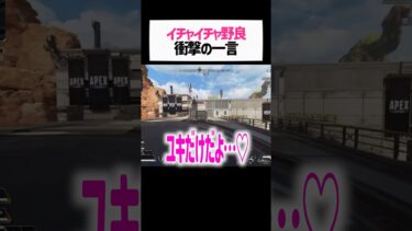 イチャイチャする野良を妄想しすぎた女性配信者に衝撃の一言wwww【apex.エーペックスレジェンズ】