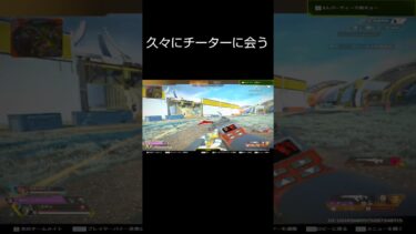 チーター消え失せろ#apexlegends #apex