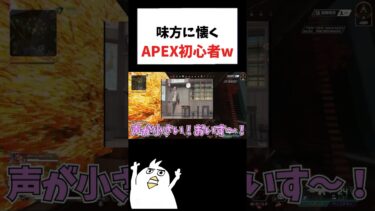 野良の味方に懐くAPEX初心者ww#初心者apex #配信切り抜き