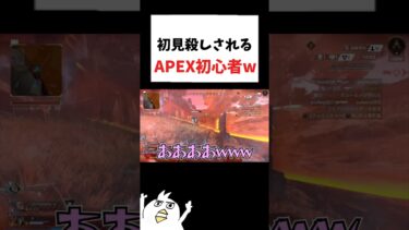 初見殺しされるAPEX初心者🔰ww #初心者apex #配信切り抜き