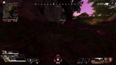 [apex]　配信初心者　30歳が1ヶ月後に社長になります！？！？　#apex #初見さん大歓迎 #雑談 #初心者