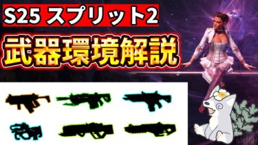 【S25スプリット2最新版】距離別・今強い武器ランキング！武器環境変化を徹底解説 【ゆっくり実況】【エーペックス】【Apex Legends】