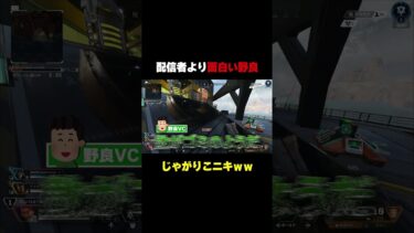 配信者より面白い野良と出会ったｗｗｗ【APEX】