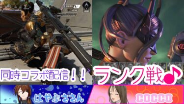 【APEX LEGENDS／女性実況】はやぶささんと同時コラボ配信！！　ぽんこっこのすぐにダウンするランク戦！足、ひっぱらないようにガンバリマス💦