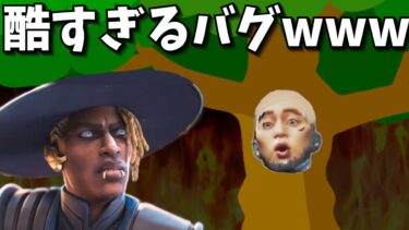 またAPEXが盛大にバグった…【APEX】