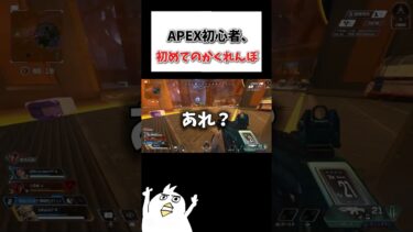 APEX初心者、初めてのかくれんぼww  #初心者apex #配信切り抜き